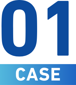CASE 01