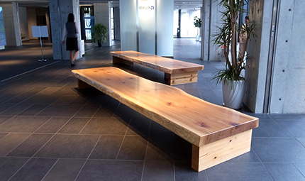 エントランスのベンチは四国産の杉一枚板を使用